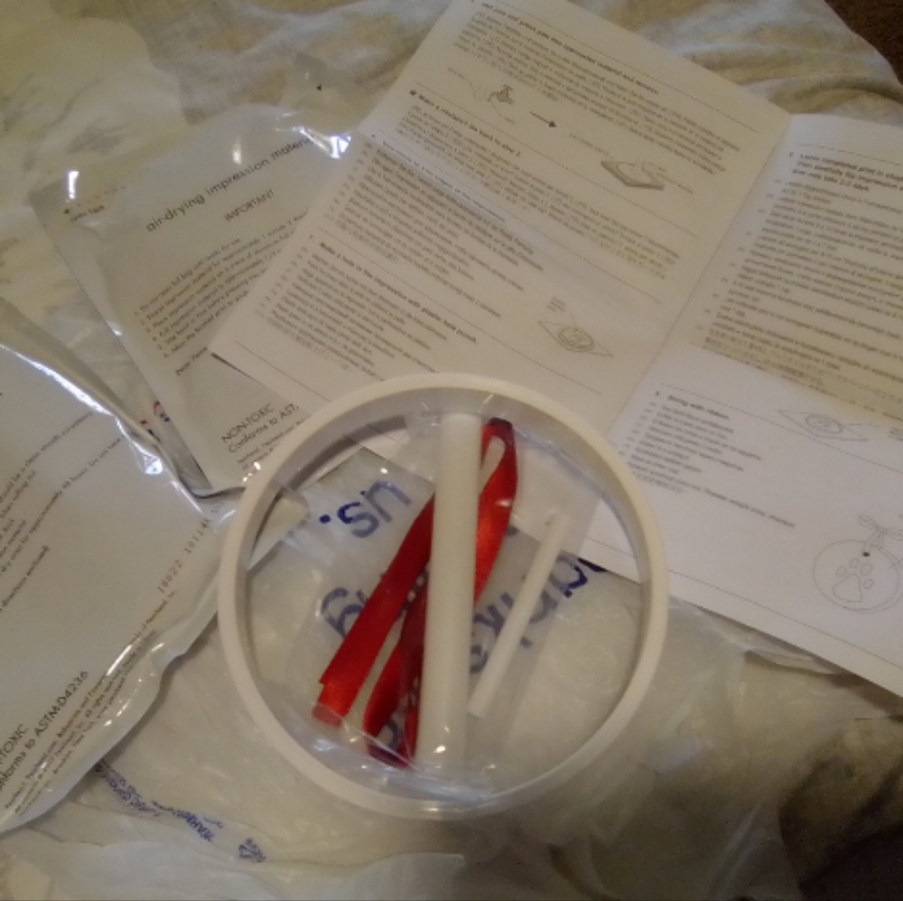 Reese Pet Print Ornament Kit**